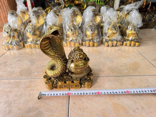 Rắn hữu vàng bằng đồng - Ảnh 4