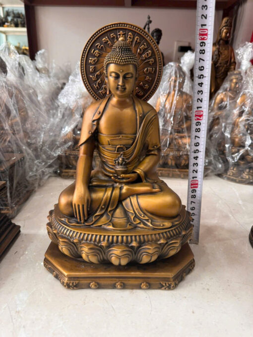 Tượng đồng dược sư có lá đề - Ảnh 2
