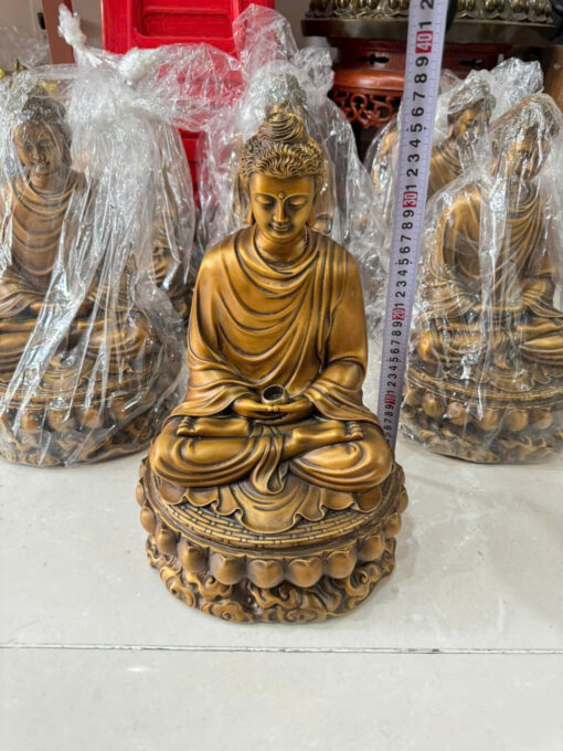Tượng đồng Thích ca tịnh tâm - Ảnh 4