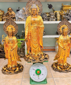 Tuong dong tay phuong tam thanh dat vang