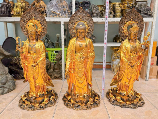 Tuong dong tay phuong tam thanh dat vang